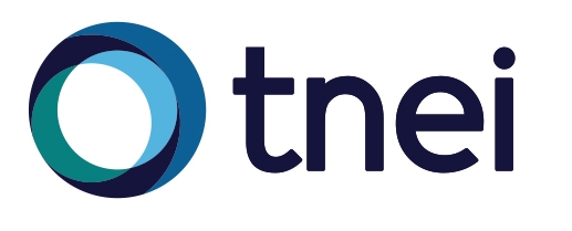 TNEI logo